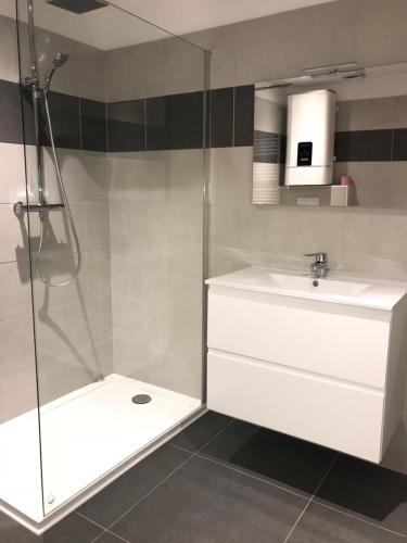 une salle de bain avec un lavabo blanc et une douche dans l'établissement Corté Centre Corse, à Corte
