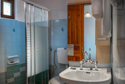 Agia FotiaにあるFerma Solaris Apartmentsのバスルーム(洗面台、トイレ、シャワー付)