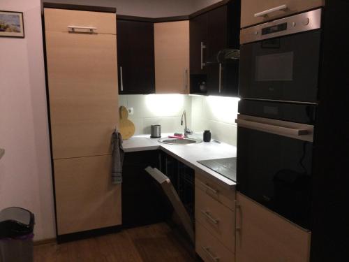 Dapur atau dapur kecil di Willa Trzy Podkowy