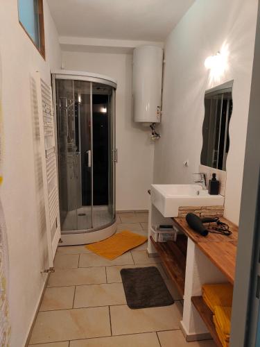 a bathroom with a shower and a sink at Ferienwohnung Landliebe, nahe Jennersdorf und Therme in Windisch Minihof
