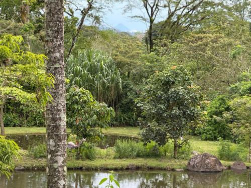 a park with a pond and trees and a body of water at Cabaña del Lago in Marsella