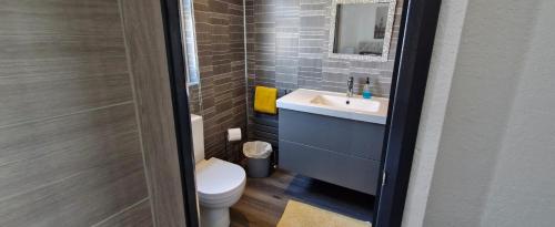 a small bathroom with a sink and a toilet at Waterside Lodge - Dog Friendly Sutton on Sea in Sutton on Sea