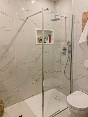 une cabine de douche dans une salle de bain avec toilettes dans l'établissement Constellations - Wifi, AC, Piscine, 4pers, à Nice