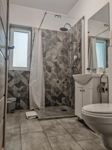a bathroom with a shower and a toilet and a sink at Freya House Valea Avrigului in Avrig