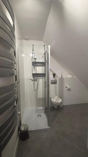 a white bathroom with a shower and a toilet at Norwida 28 - 300m od plaży in Olecko