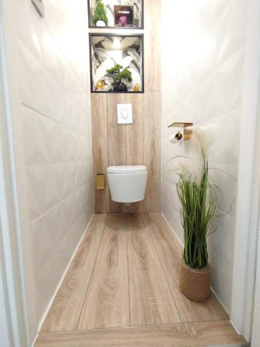 une petite salle de bains avec des toilettes et une plante dans l'établissement La maison des moments, à Carcassonne