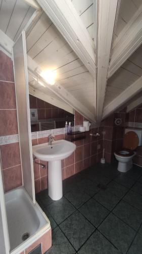 a bathroom with a sink and a toilet at Woodpecker Backpacker Hostel in Herceg-Novi
