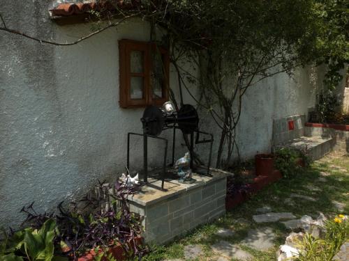Κήπος έξω από το ''The VILLAge''