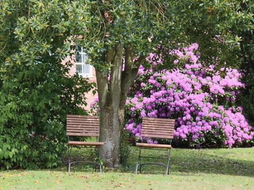 two benches sitting next to a tree with pink flowers at 4 person holiday home in STENINGE in Steninge