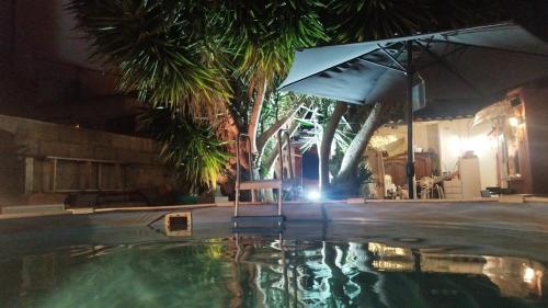 une piscine avec un parasol et des palmiers la nuit dans l'établissement L'oliveraie, à Marseille