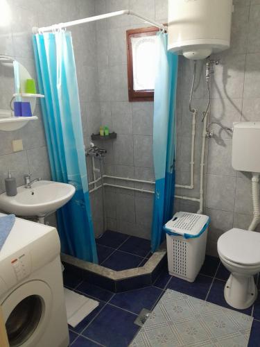 a bathroom with a shower and a toilet and a sink at Vikendica Borje in Žabljak