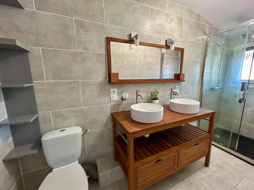 une salle de bain avec toilettes, lavabo et miroir dans l'établissement Maison de Coeur - Futuroscope, à Jaunay-Clan