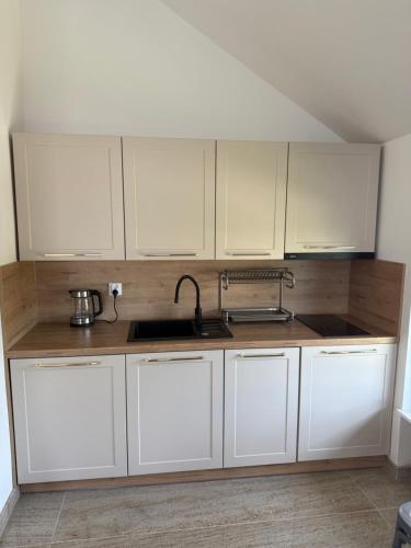 Kuchyň nebo kuchyňský kout v ubytování Apartamenty Cetniewo Stoczniowców 32