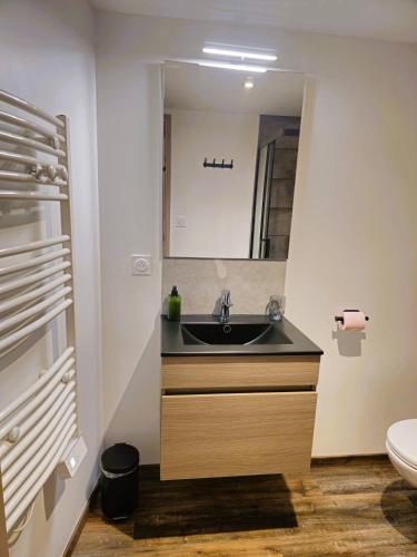 une salle de bain avec un lavabo et des toilettes dans l'établissement Mitrons - 3B, à Saint-Affrique