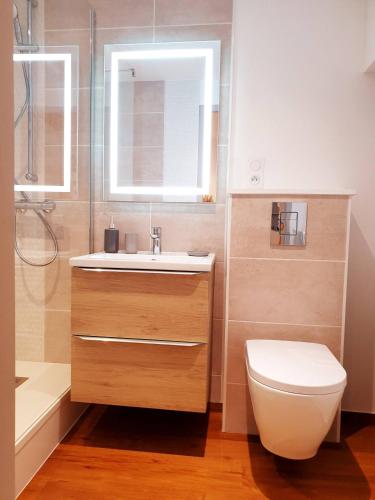 une salle de bain avec un lavabo et des toilettes et une fenêtre dans l'établissement Sadi Carnot - 1B Studio, à Millau