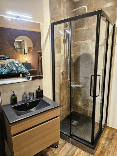 une salle de bain avec un lavabo et une douche dans l'établissement Mitrons - Apt A, à Saint-Affrique