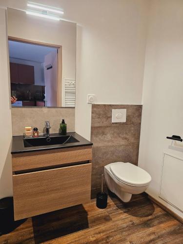 une salle de bain avec un lavabo et des toilettes dans l'établissement Mitrons - 3A, à Saint-Affrique