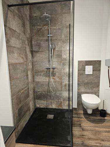une salle de bain avec douche et toilettes dans l'établissement Mitrons - 1A, à Saint-Affrique