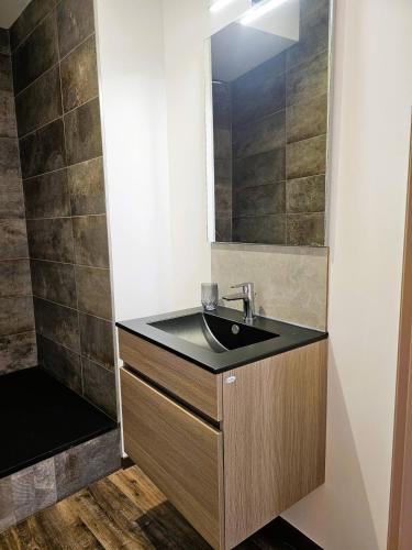 une salle de bain avec un lavabo et une douche dans l'établissement Mitrons - Apt B, à Saint-Affrique
