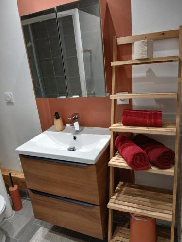 une salle de bain avec un lavabo et un miroir dans l'établissement chez Nino le surfer Globe- trotteur, à Toulouse