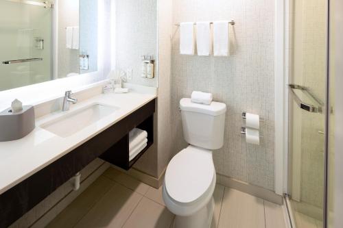 a bathroom with a toilet and a sink and a mirror at Holiday Inn Express & Suites Chicago West - St Charles by IHG in Saint Charles