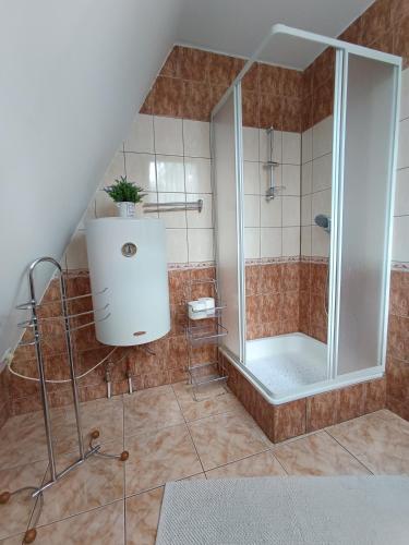 a shower with a glass door in a bathroom at Domek u Marty in Solina