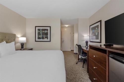 a hotel room with a bed and a desk and a television at Best Western Cedar Park Inn in Edmonton