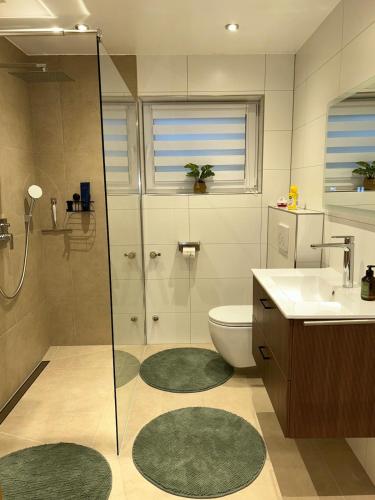 a bathroom with a shower and a toilet and two rugs at Casa Tandri am Rebenweg in Bermatingen