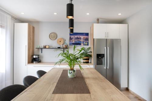 Superior Apartment Sincic