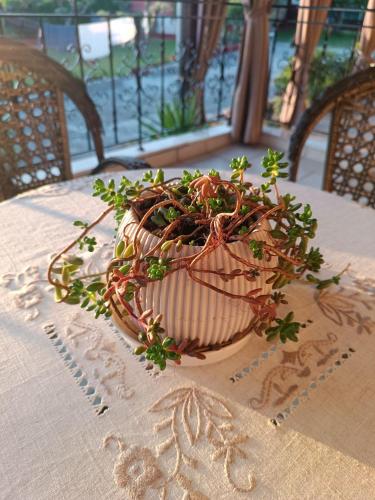 Gallery image of Red Roses-Traditional House in Katerini