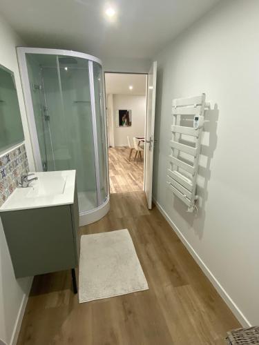 une salle de bain avec un lavabo, une douche et un miroir dans l'établissement Appartement Cordier, à Saint-Amand-Montrond