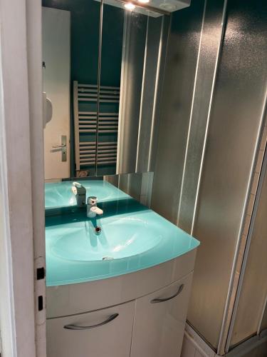 une salle de bain avec un lavabo et un miroir dans l'établissement Studio Pharo Cap D'Agde, au Cap d'Agde