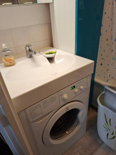 une machine à laver dans une salle de bain avec un lavabo dans l'établissement Appartements 2 chambres port de Dienville, à Dienville