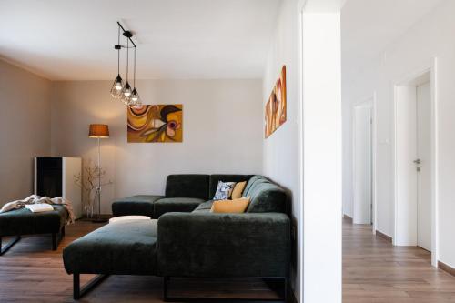 Superior Apartment Sincic