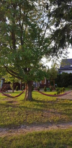 Wczasy na Kaszubach u Hani