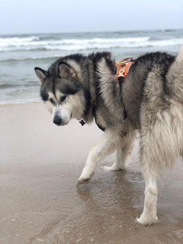 Apartamenty nad morzem Przy Klifie 2 Dębina