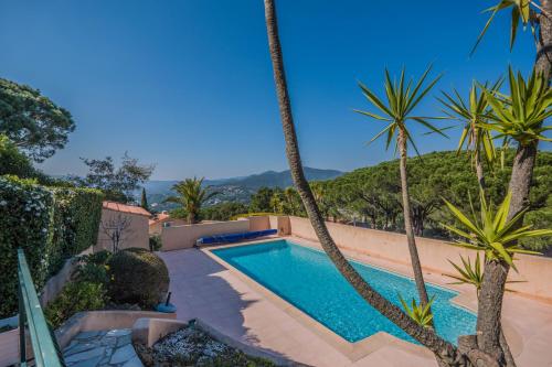 une piscine entourée de palmiers. dans l'établissement Villa bellevue sainte maxime un écrin de verdure au cœur du sémaphore piscine XXL, à Sainte-Maxime