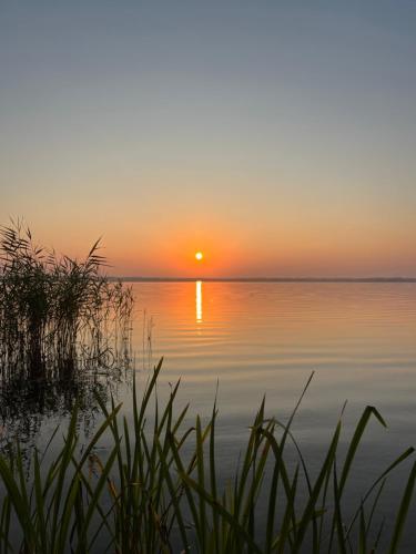 a sunset over the water with grass in the foreground at Haus 2 am Grimnitzsee - hochwertiges Design, mit eigenem Garten und nah am See in Joachimsthal