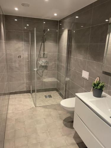 a bathroom with a shower and a toilet at Familiy apartment in Myrkdalen Voss in Vossestrand