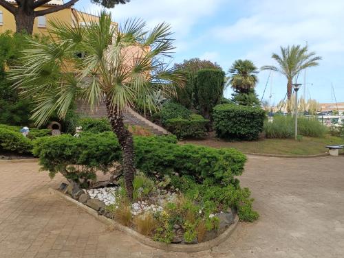 un palmier dans un parc avec des buissons et des arbres dans l'établissement Résidence avec piscine sur quai avec bateau, au Cap d'Agde