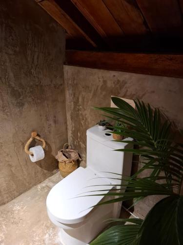 a bathroom with a toilet with plants on it at Mangle House Cabañas Ladrilleros in Buenaventura