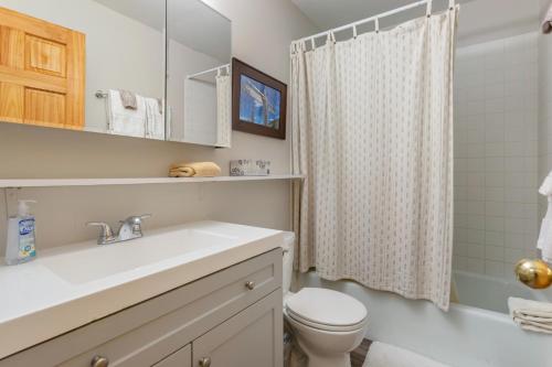 a bathroom with a sink and a toilet at On Gore Creek, Pet Friendly, Steps from Free Bus Stop & Great Value in Vail