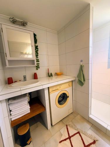 une salle de bain avec une machine à laver et un lavabo dans l'établissement La Dolce Villa avec Piscine, à Zonza