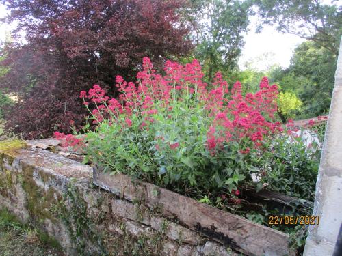 Photo de la galerie de l'établissement BD 8km angouleme, à Sireuil