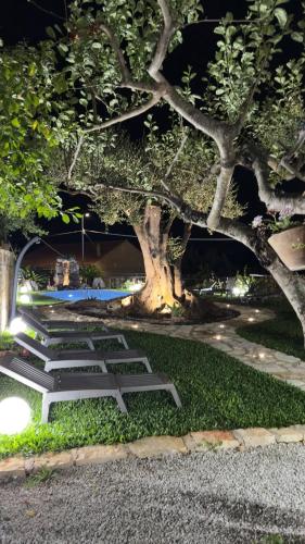 a group of steps with a surfboard under a tree at La Locanda del Curato Rooms in Lentiscosa