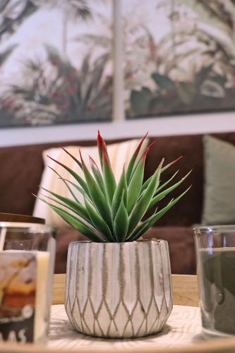 a plant in a silver planter on a table at Lovely holiday home next to Bus terminus in St Paul's Bay