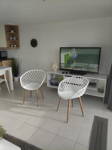 un salon avec deux chaises et une télévision dans l'établissement Appartement Iris, au Coq
