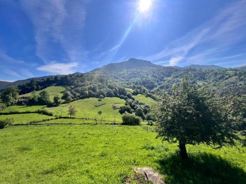 a green hillside with a tree in a field at La Casina del Cabecin en Parque Natural de Redes in Caso