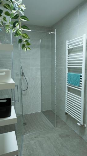 une douche avec une porte vitrée dans une salle de bain dans l'établissement Appt T3 Résidence La Belle Eugénie, à Berck-sur-Mer