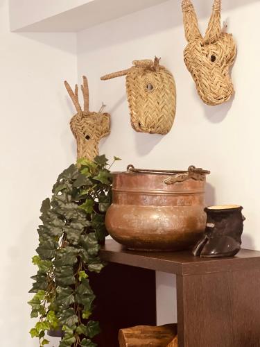 a shelf with a pot and a plant on a wall at La Casina del Cabecin en Parque Natural de Redes in Caso